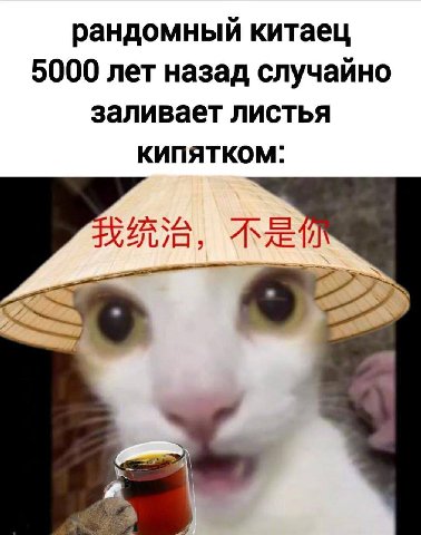 рандомный китаец 5000 лет назад случайно заливает листья КИПЯТКОМ: