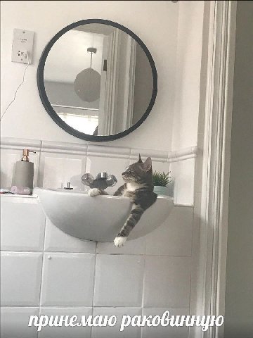 принемаю