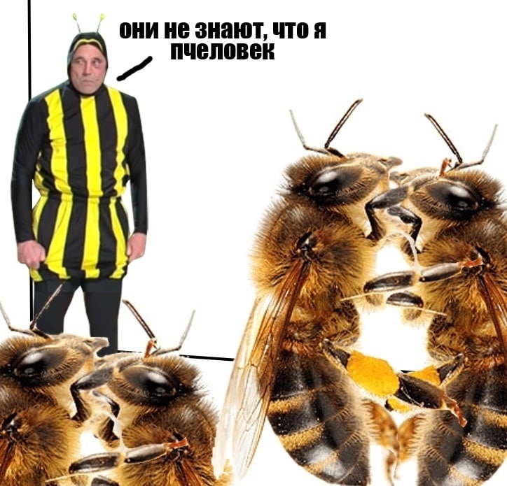 они He знают, что A 3 7 as 7 A