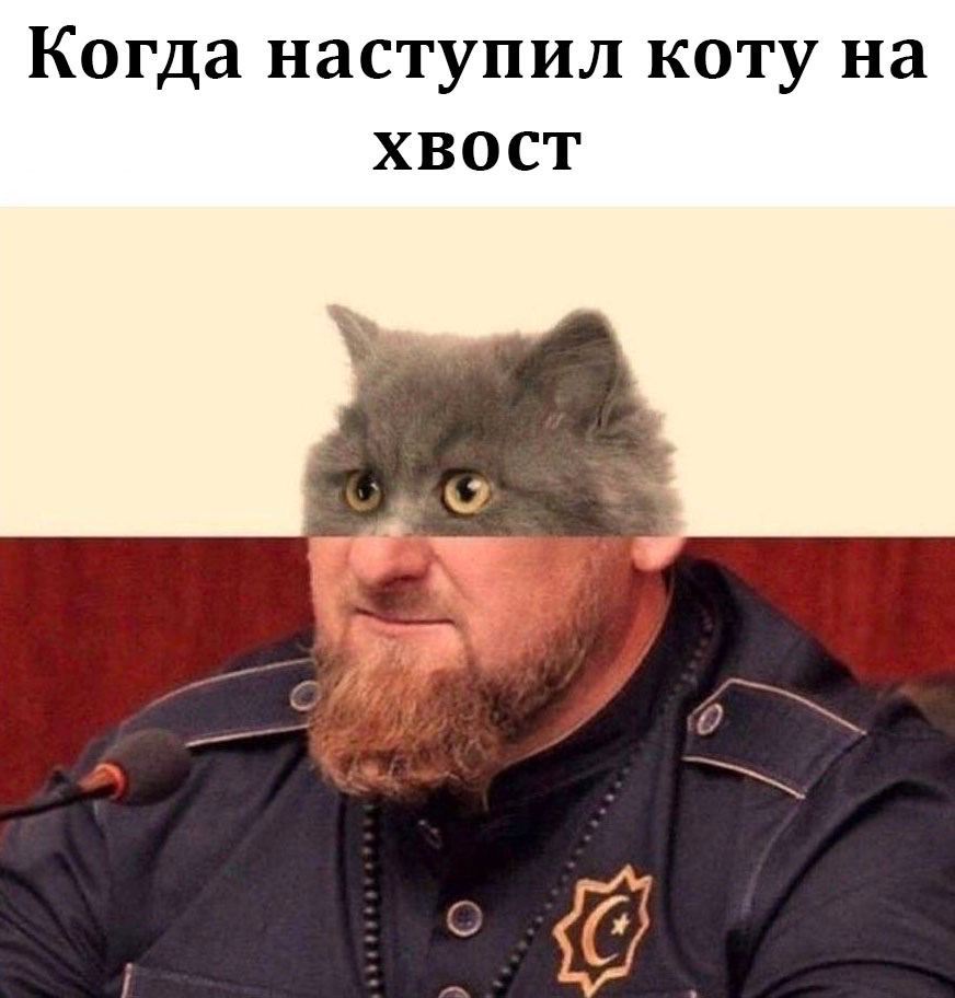 Когда наступил коту на ХВОСТ