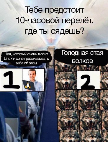 Тебе предстоит 10-часовой перелет, где ты сядешь? Чел, который очень любит Голодная стая Linux и хочет рассказывать 06 этом BOJIKOB he