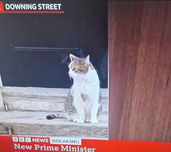DOWNING STREET A NEWS BREAKING New Prime Minister