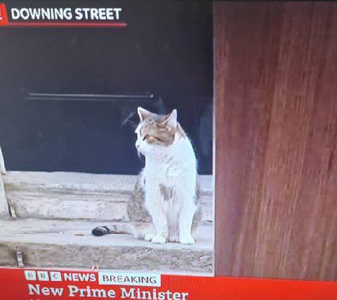 DOWNING STREET A NEWS BREAKING New Prime Minister