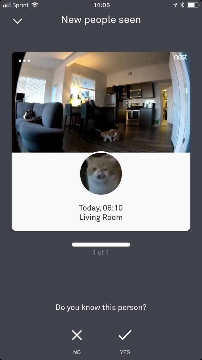 14:05 New people seen eee Тодау, 06:10 Living Room you know this person? NO YES