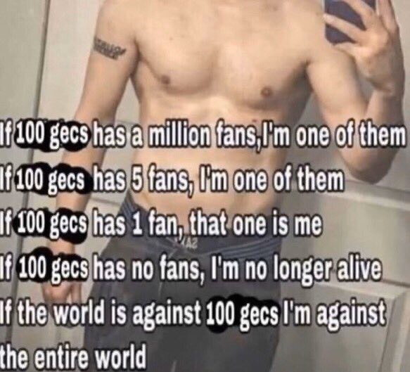 If 100 gecs one of'them If 100 gecs has lim one of them If 100 gecs has 1 fan, that one is me If 100 gecs has no fans, no longer alive If the world is against 100 gecs against the entire world
