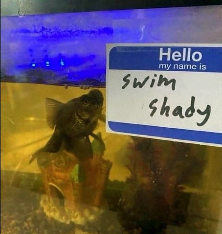 Hello my name is