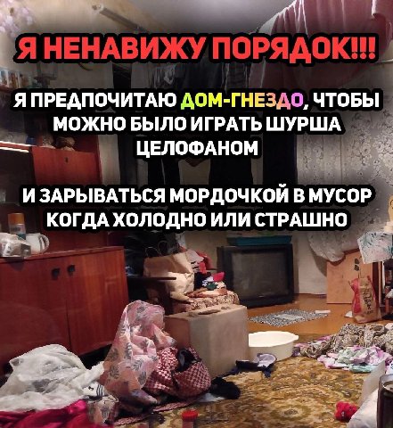 Я НЕНАВИЖУ ПОРЯДОК eee я ПРЕДПОЧИТАЮ ДОМ-ГНЕЗДО, МОЖНО БЫЛО ИГРАТЬ ЦЕЛОФАНОМ И ЗАРЫВАТЬСЯ МОРДОЧКОЙ В МУСОР КОГДА ХОЛОДНО ИЛИ СТРАШНО
