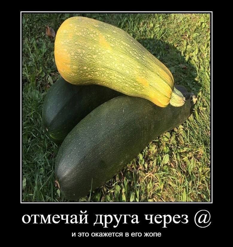 Sun 4 4 у, a у у 1 отмечай друга через и это окажется в его жопе