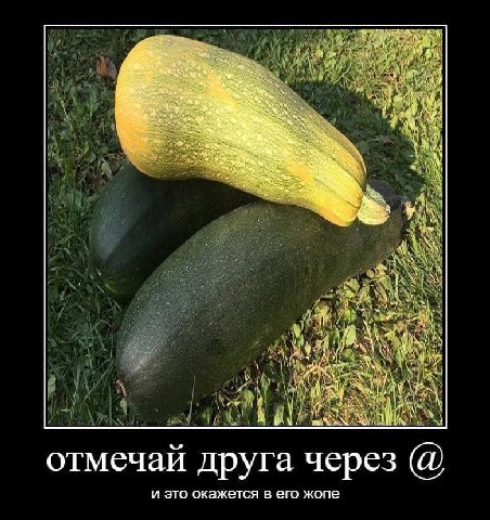 Sun 4 4 у, a у у 1 отмечай друга через и это окажется в его жопе