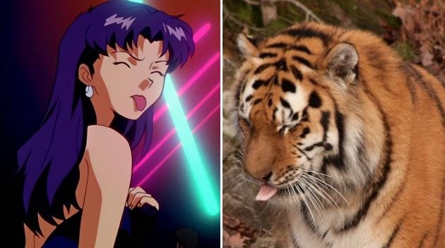 🐅