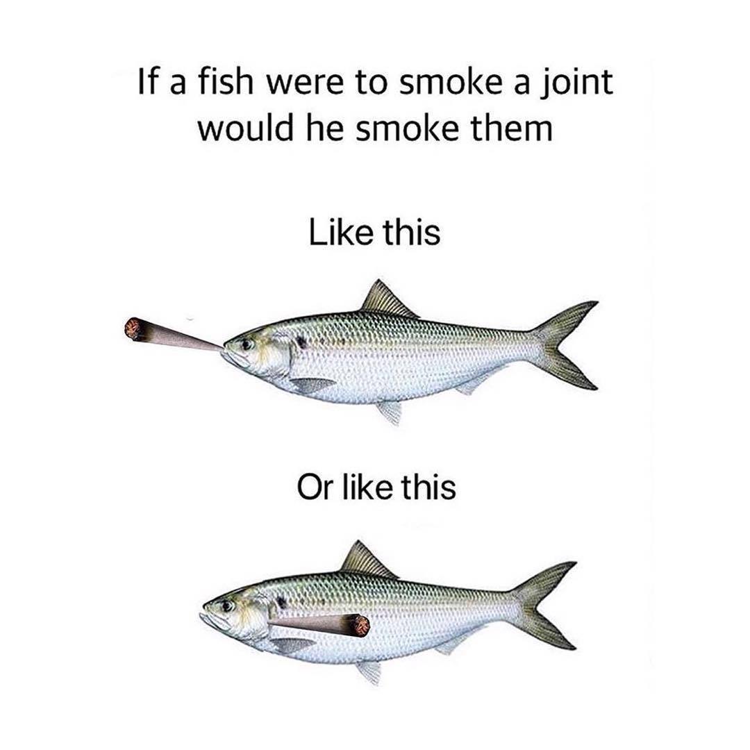 If a fish were to smoke а joint would he smoke them Like this Or like this