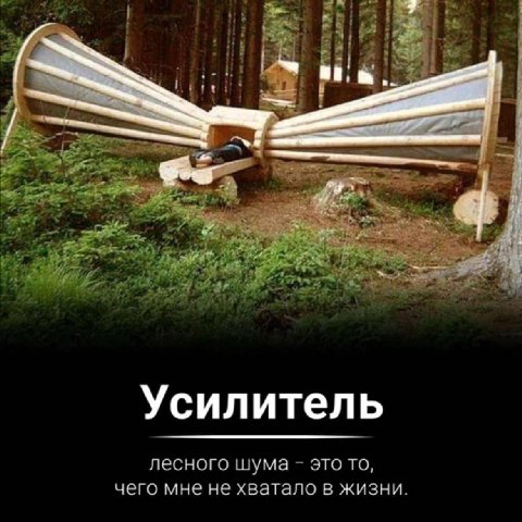 i yen oF Усилитель лесного шума это то, чего мне не хватало в жизни.