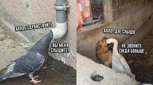 32 ДА, СЛЫШУ ВЫ МЕНЯ НЕ ЗВОНИТЕ СЮДА БОЛЬШЕ Я