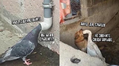 32 ДА, СЛЫШУ ВЫ МЕНЯ НЕ ЗВОНИТЕ СЮДА БОЛЬШЕ Я