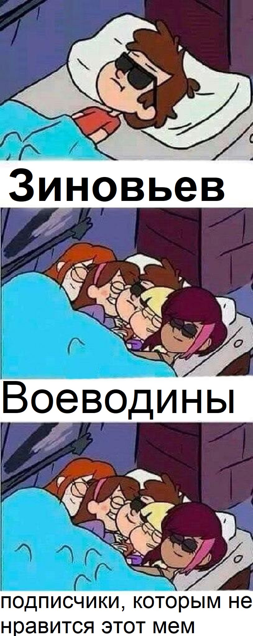 377 Зиновьев “a Воеводины подписчики, которым He нравится этот мем