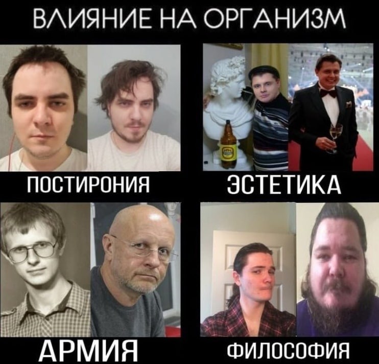 ВЛИЯНИЕ НА ОРГАНИЗМ ПОСТИРОНИЯ ЭСТЕТИКА АРМИЯ ФИЛОСОФИЯ