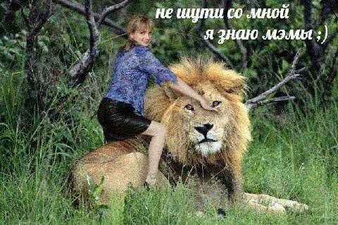 не ицути мной я знаю мэмы