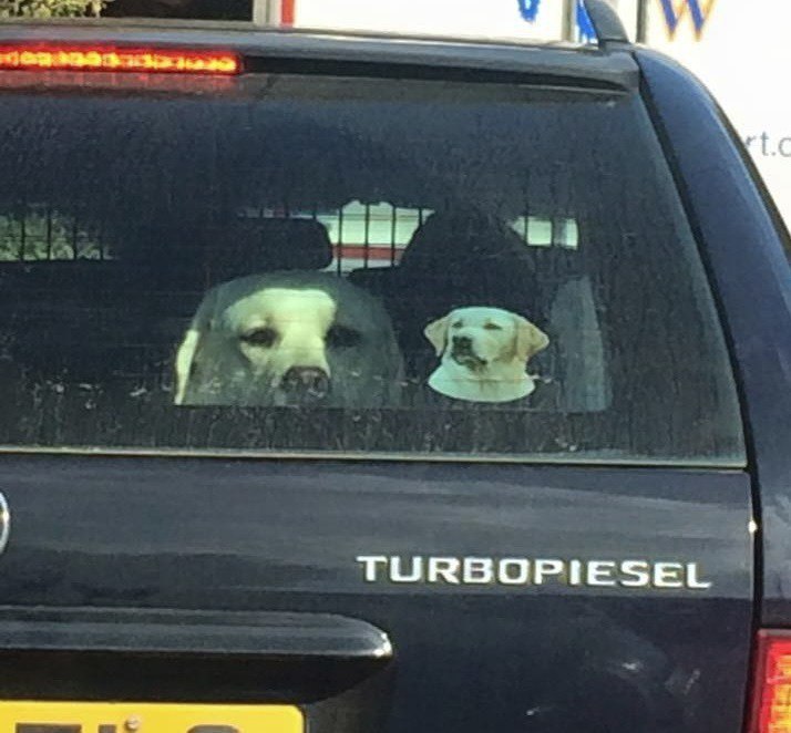 TURBOPIESEL