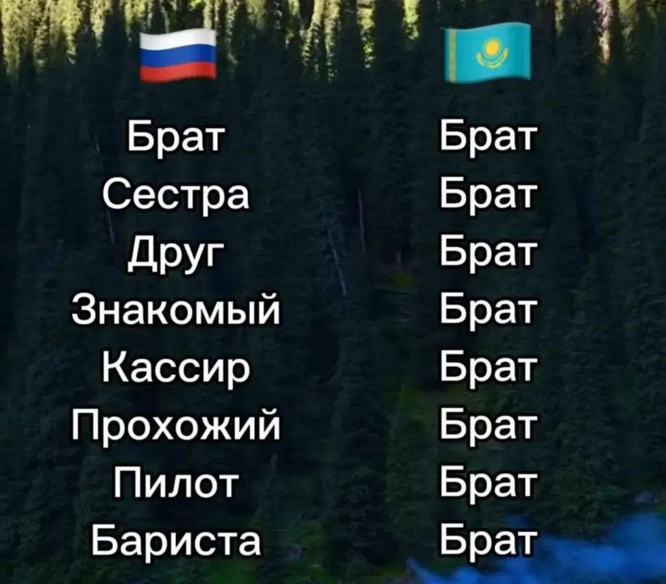 у Брат Брат Сестра Брат Друг Брат Знакомый Брат Кассир Брат Прохожий Брат Пилот Брат Бариста Брат