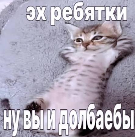 эхребятки