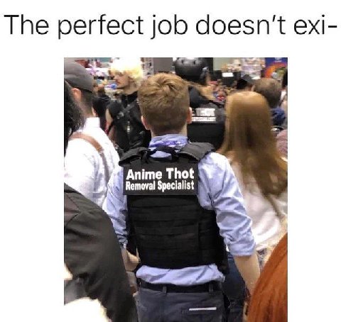 The perfect job doesn't exi- Removal Anime