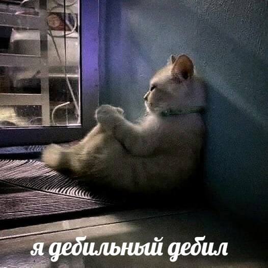 я дебильный дебил