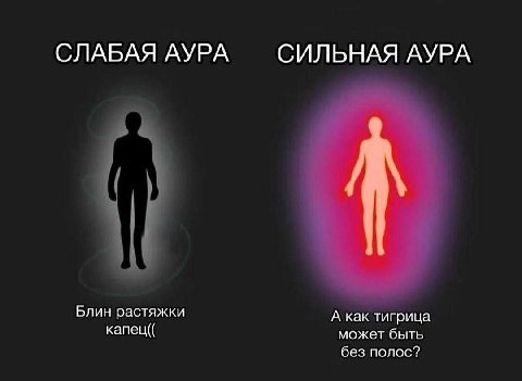 МЕМЫ ОТ БИМО