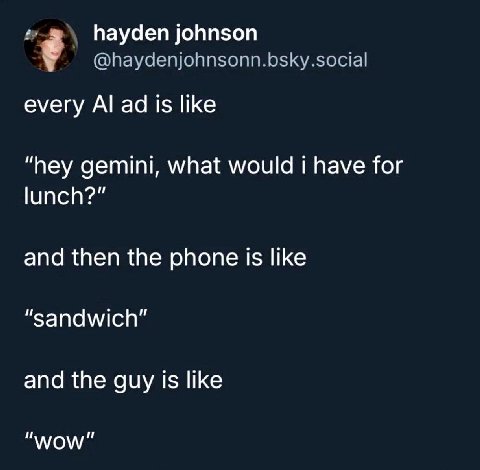 hayden johnson @haydenjohnsonn.bsky.social every is like “hey gemini, what would i have for lunch?” and then the phone is like “sandwich” and the guy is like "WOW