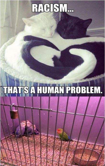 RACISM is A are 4 a. THAT'S А HUMAN PROBLEM a