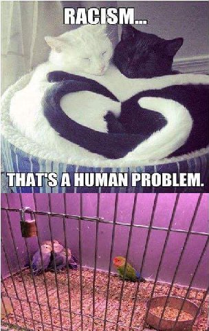 RACISM is A are 4 a. THAT'S А HUMAN PROBLEM a