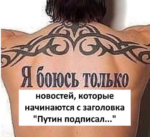 Lin в Я ТОЛЬКО. новостей, которые начинаются с заголовка "Путин подписал..."