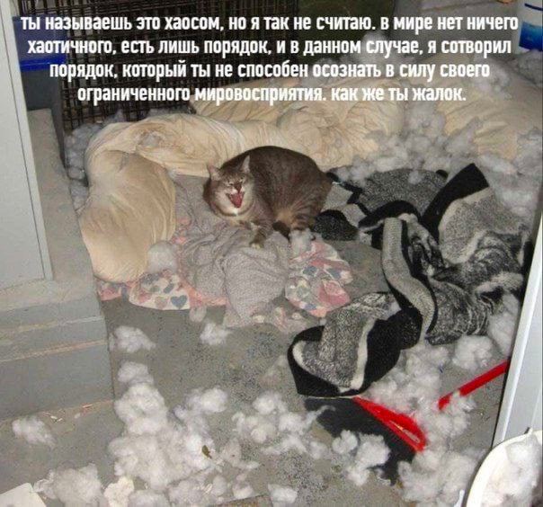 ты называешь это хаосом, но я так не считаю. в мире нет ничего хаотичного, есть лишь порядок, и в данном случае, я сотворил порядок, который ты не способен осознать в силу своего ограниченного мировос