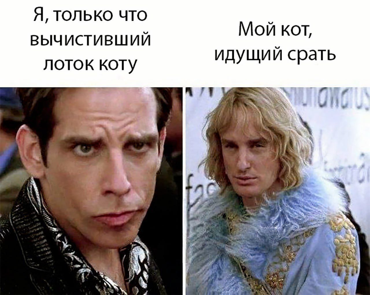 Я, ТОЛЬКО ЧТО ВЫЧИСТИВШИЙ Мой кот, идущий срать ЛОТОК KOTY А a