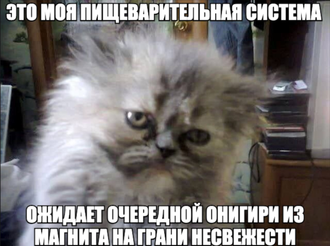 ЭТО МОЯ ПИЩЕВАРИТЕЛЬНАЯ СИСТЕМА ОЖИДАЕТ ОЧЕРЕДНОЙ ОНИГИРИ ИЗ МАГНИТА НА ГРАНИ НЕСВЕНЕСТИ