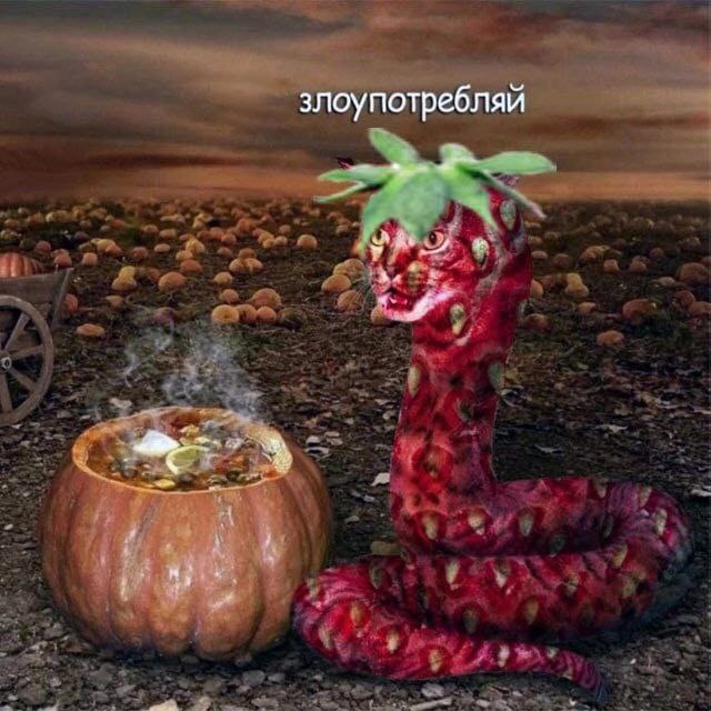 злоупотребляй