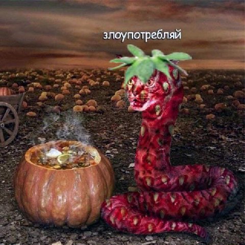 злоупотребляй