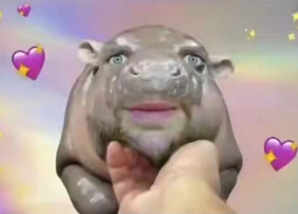 we