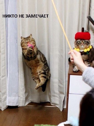 НИКТО НЕ ЗАМЕЧАЕТ