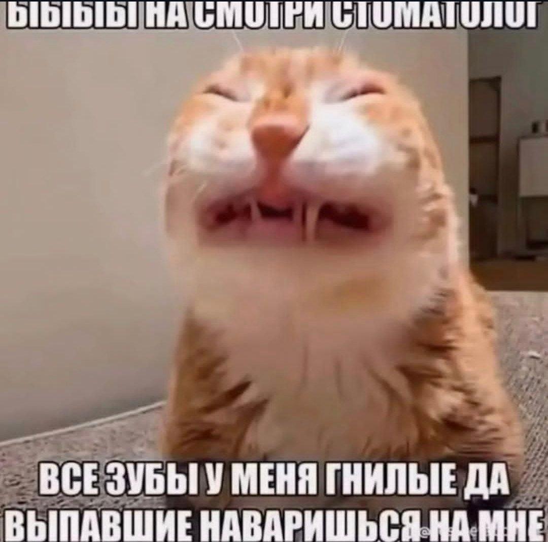 DIDIDIDI НА СМОЛРИ ВСЕ ЗУБЫ У МЕНЯ ГНИЛЫЕ ДА ВЫПАВШИЕ МНЕ