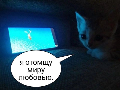 я отомщу миру любовью.