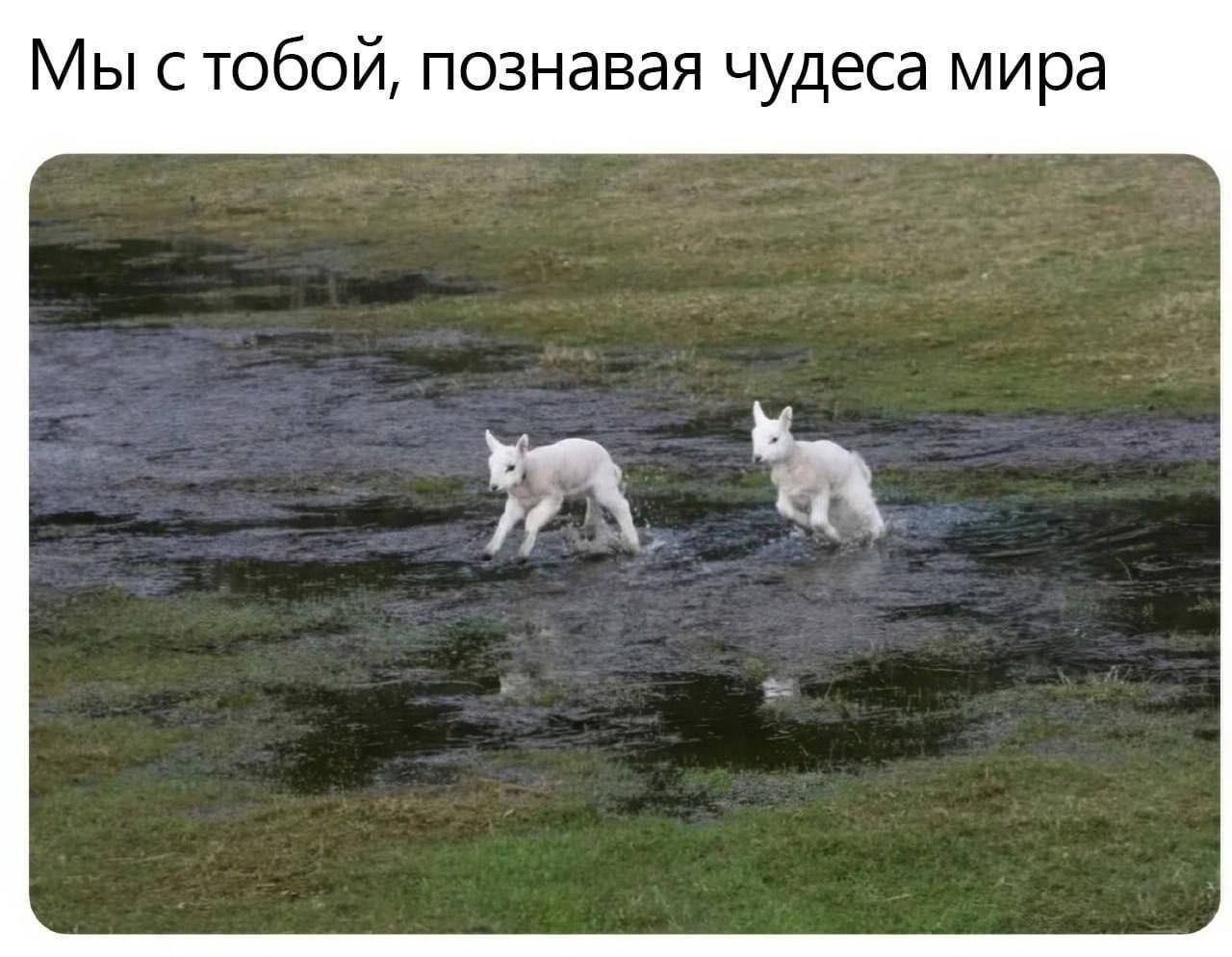 Мы стобой, познавая чудеса мира