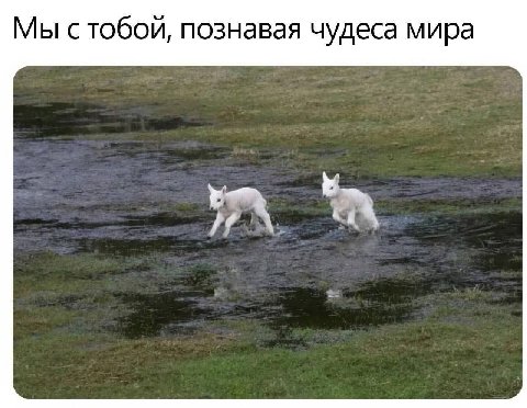 Мы стобой, познавая чудеса мира