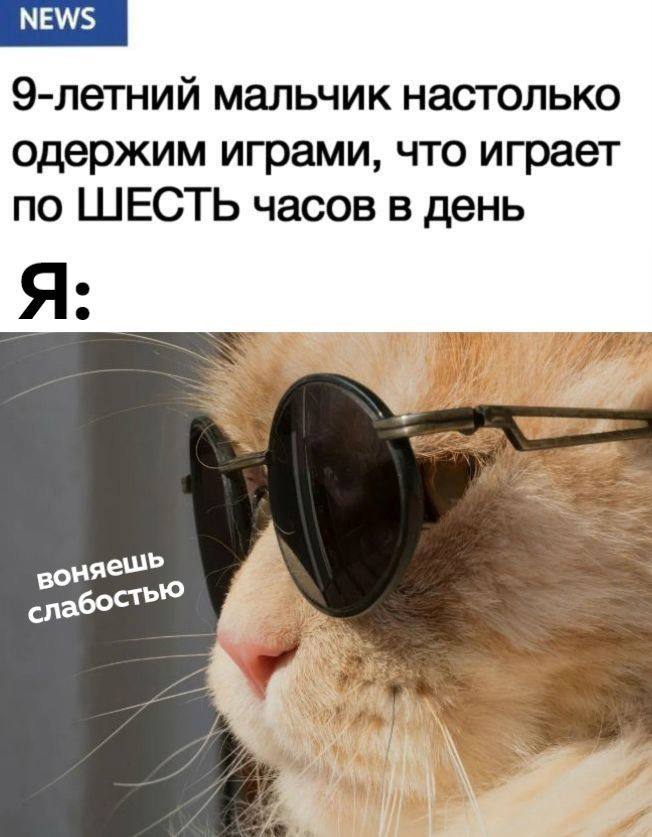 МЕМ/$ 9-летний мальчик настолько одержим играми, что играет по ШЕСТЬ часов в день Я: у слабостью я