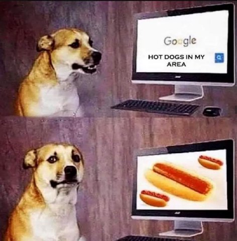 Go-gle HOT MY