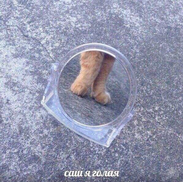 be 4 голая