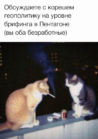 Обсуждаете с корешем геополитику на уровне брифинга в Пентагоне (вы оба безработные)