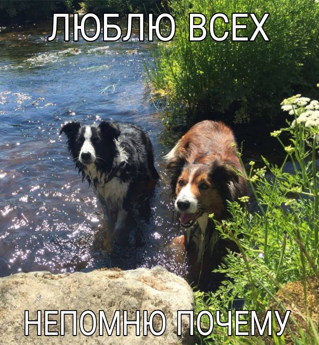 ЛЮБЛЮ ВСЕХ we 4 МОЧЕМУ
