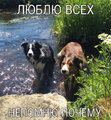 ЛЮБЛЮ ВСЕХ we 4 МОЧЕМУ