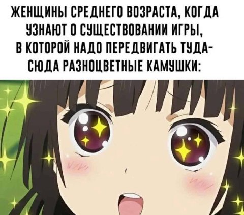 ЖЕНЩИНЫ СРЕДНЕГО ВОЗРАСТА, КОГДА УЗНАЮТ 0 СУЩЕСТВОВАНИИ ИГРЫ, В КОТОРОЙ НАДО ПЕРЕДВИГАТЬ ТУДА- СЮДА РАЗНОЦВЕТНЫЕ КАМУШКИ: