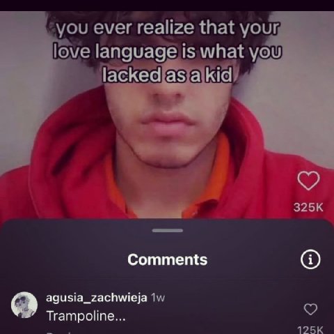 you ever realize that your love language is what you пог kid) Comments agusia_zachwieja Trampoline...